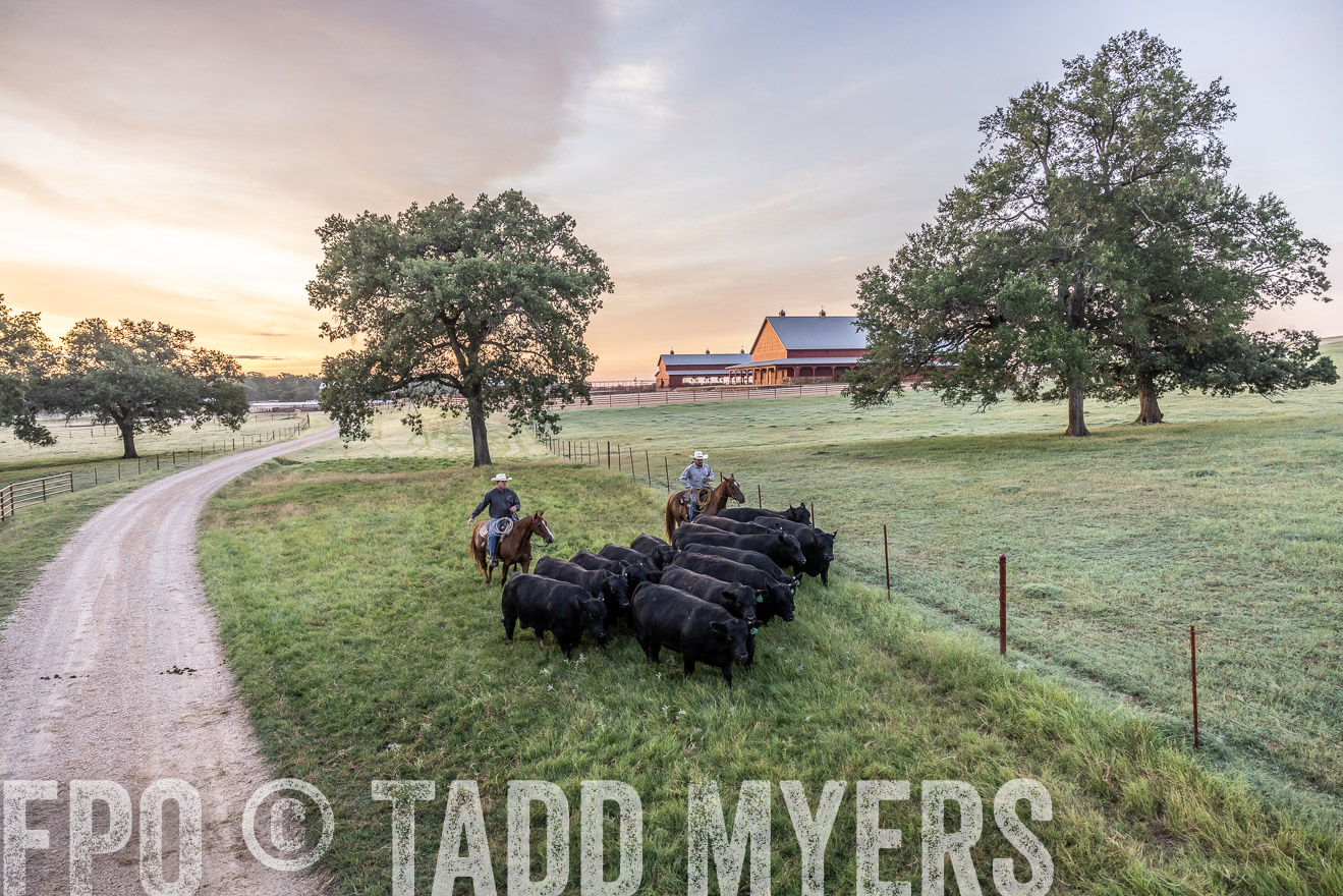 TMyers_Cameron_June2022-528933
