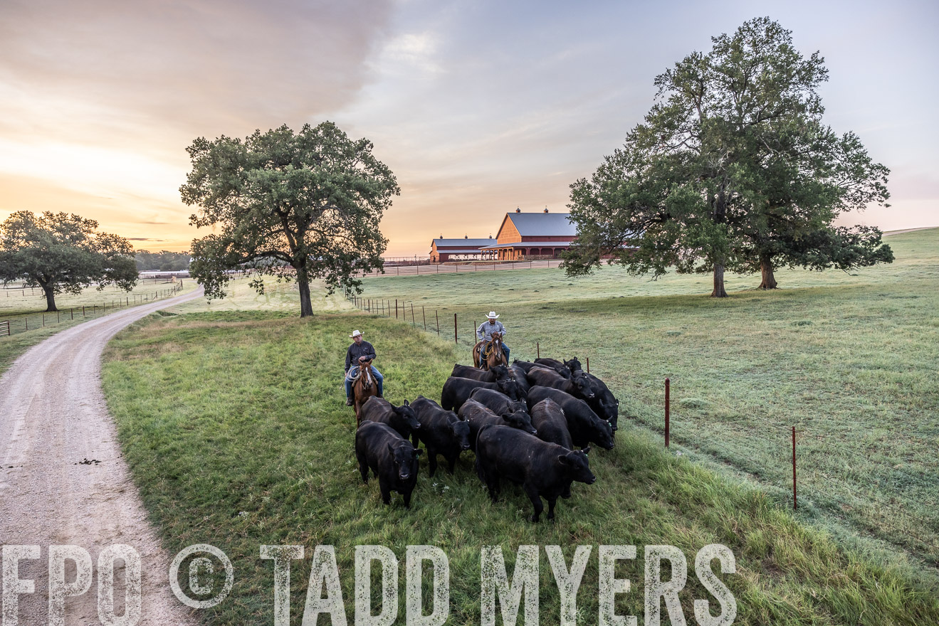 TMyers_Cameron_June2022-528946