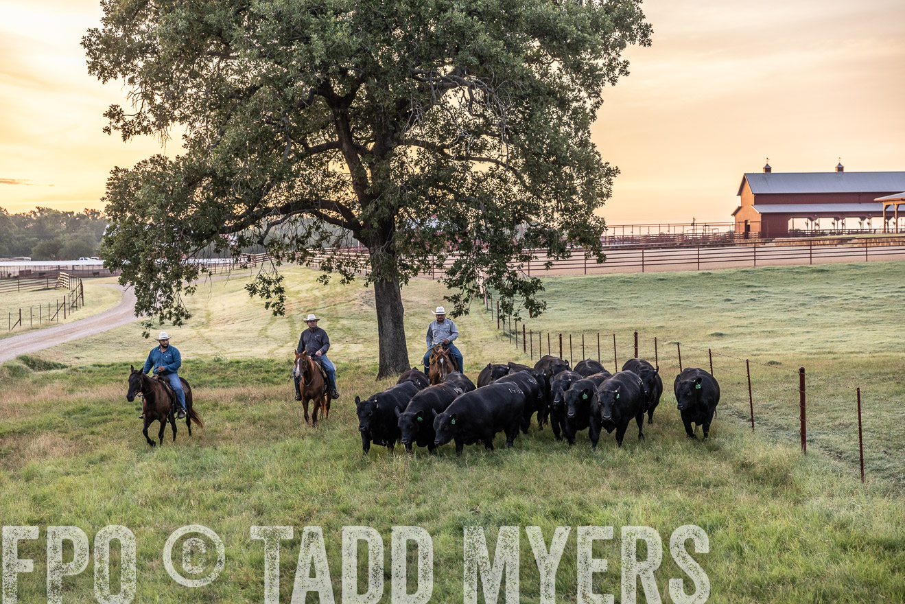 TMyers_Cameron_June2022-529015