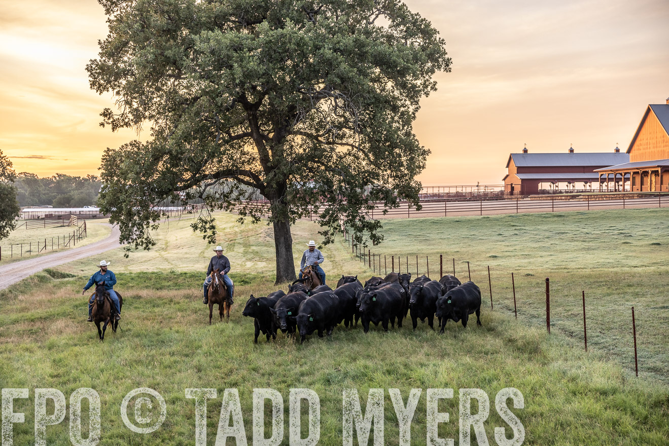 TMyers_Cameron_June2022-529019