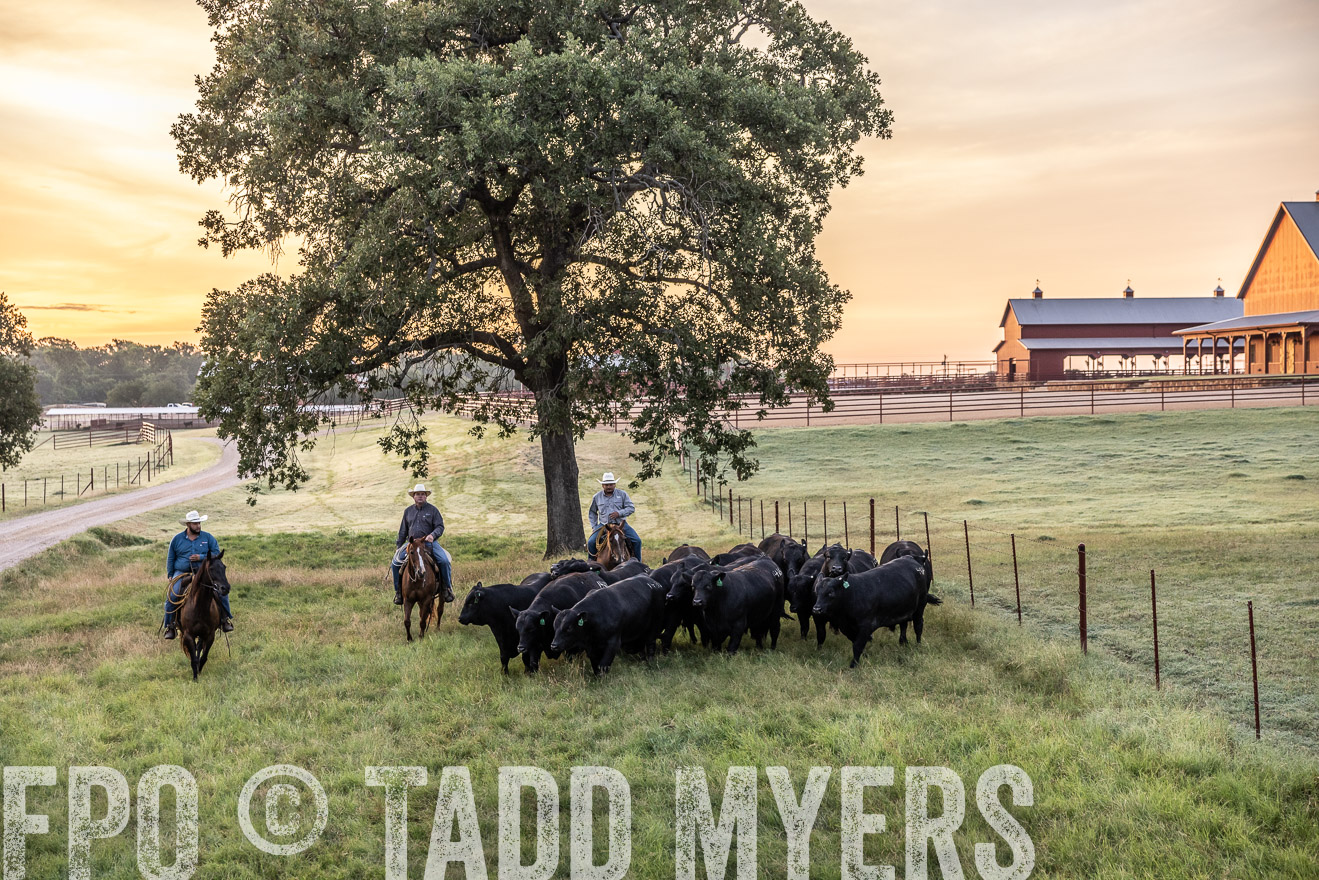 TMyers_Cameron_June2022-529021