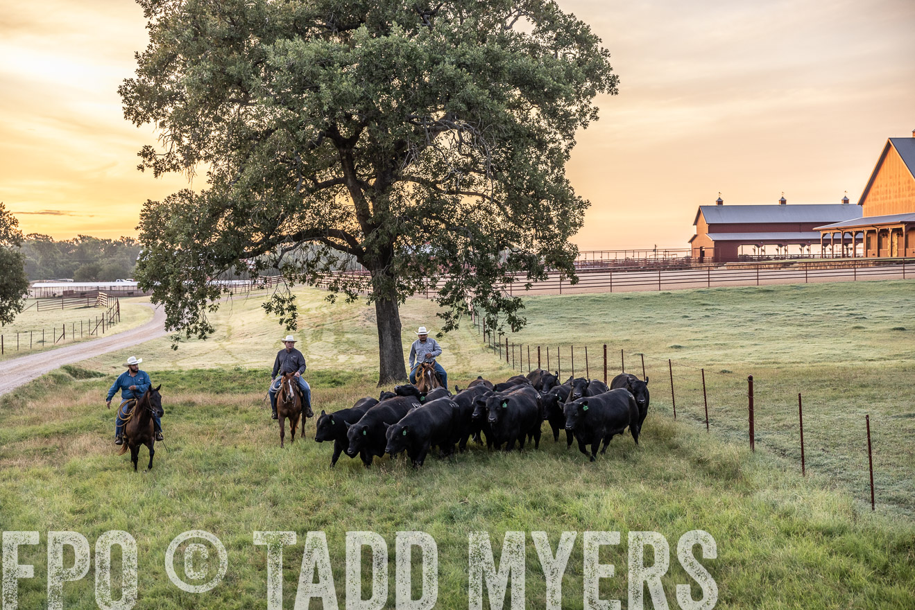 TMyers_Cameron_June2022-529022