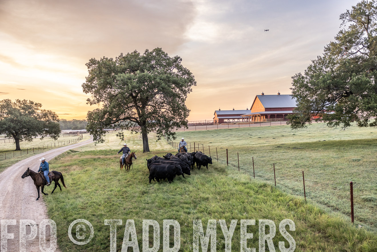 TMyers_Cameron_June2022-529028