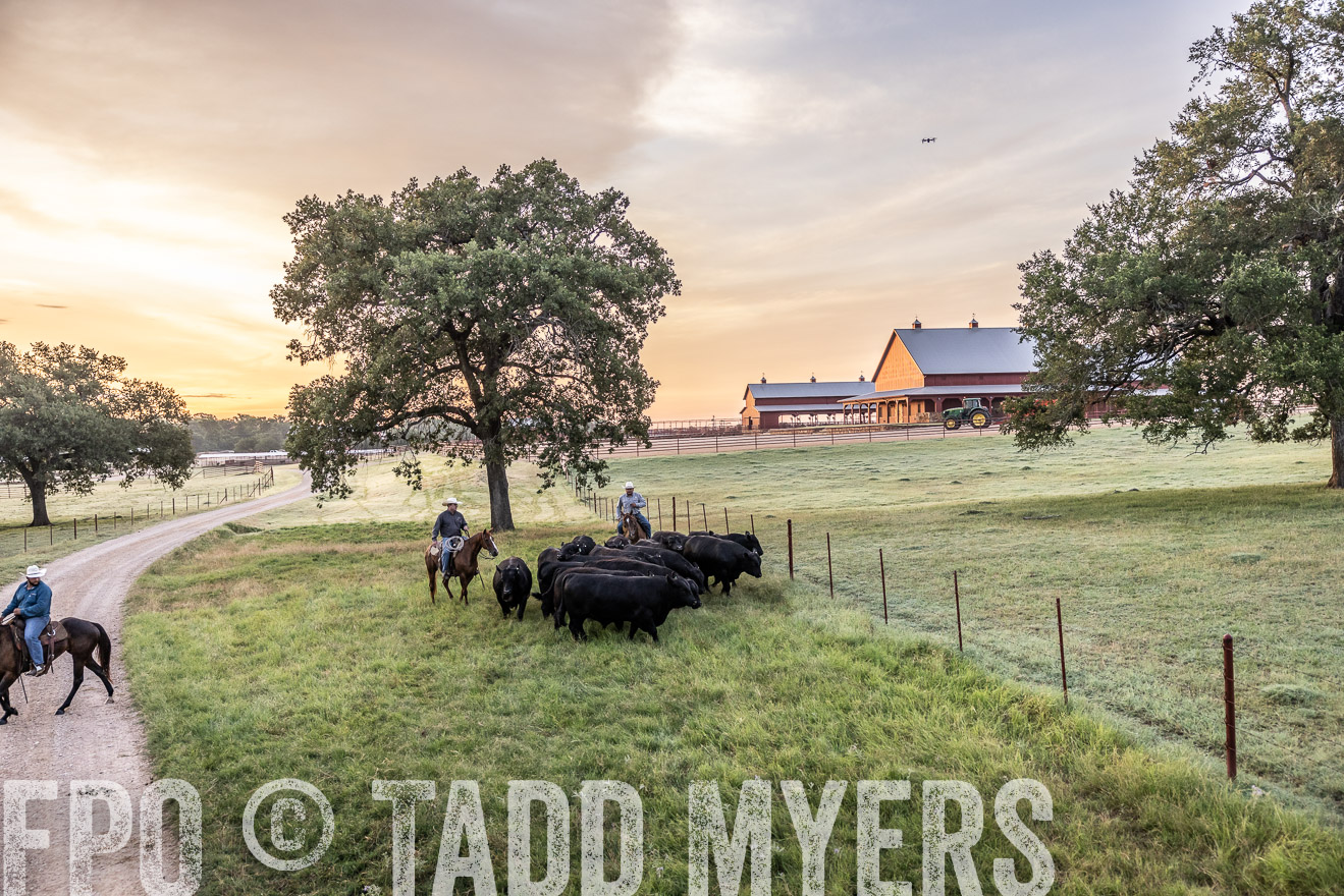 TMyers_Cameron_June2022-529030