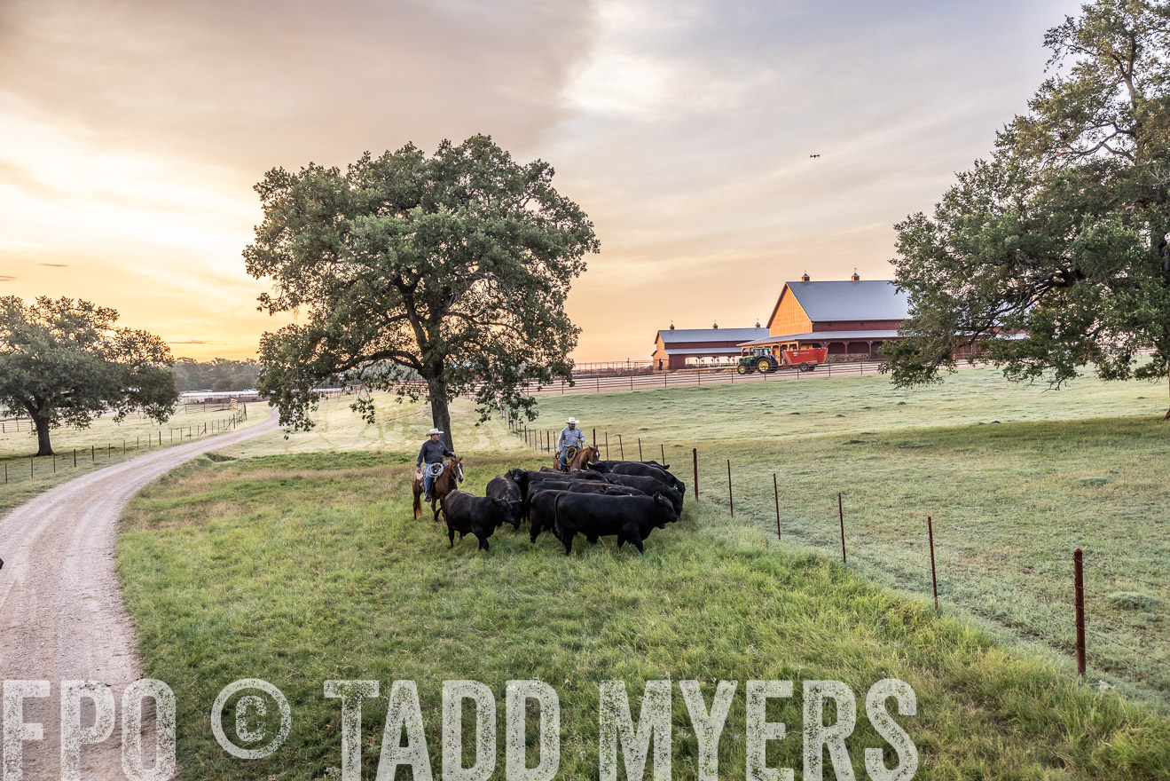 TMyers_Cameron_June2022-529033