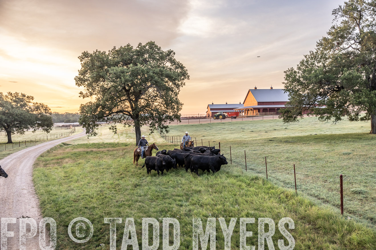 TMyers_Cameron_June2022-529036