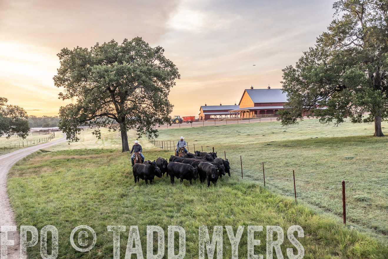 TMyers_Cameron_June2022-529040