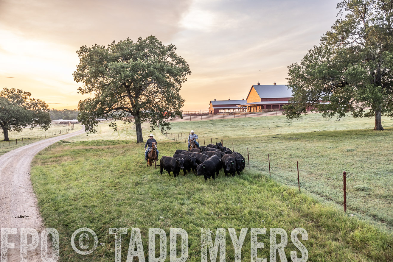 TMyers_Cameron_June2022-529042