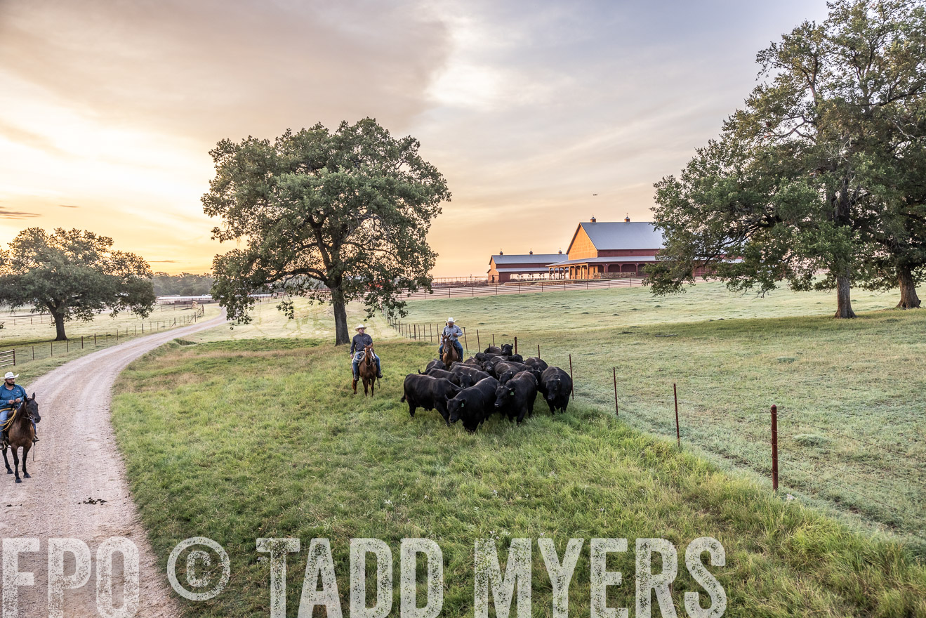 TMyers_Cameron_June2022-529044