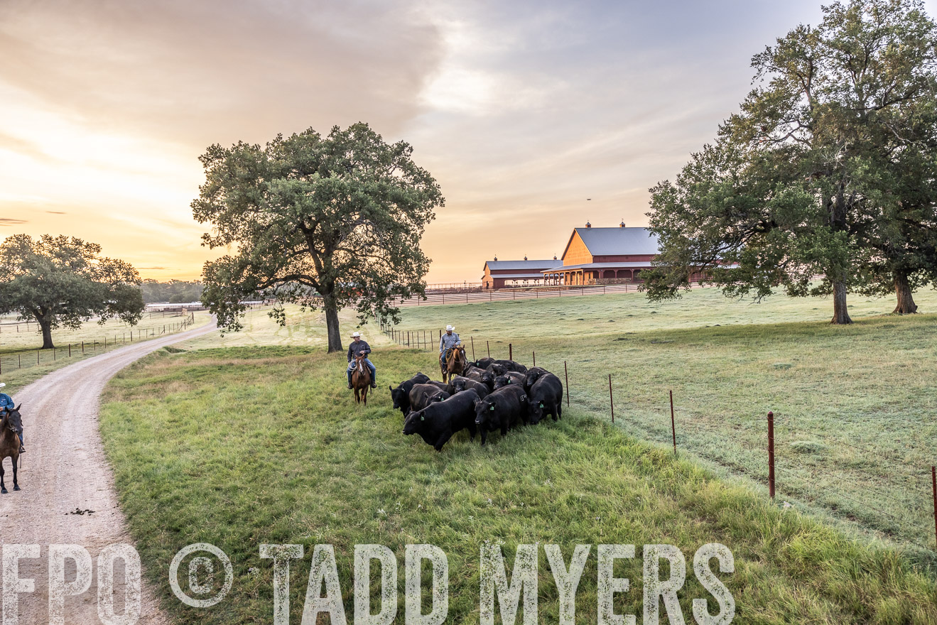 TMyers_Cameron_June2022-529046
