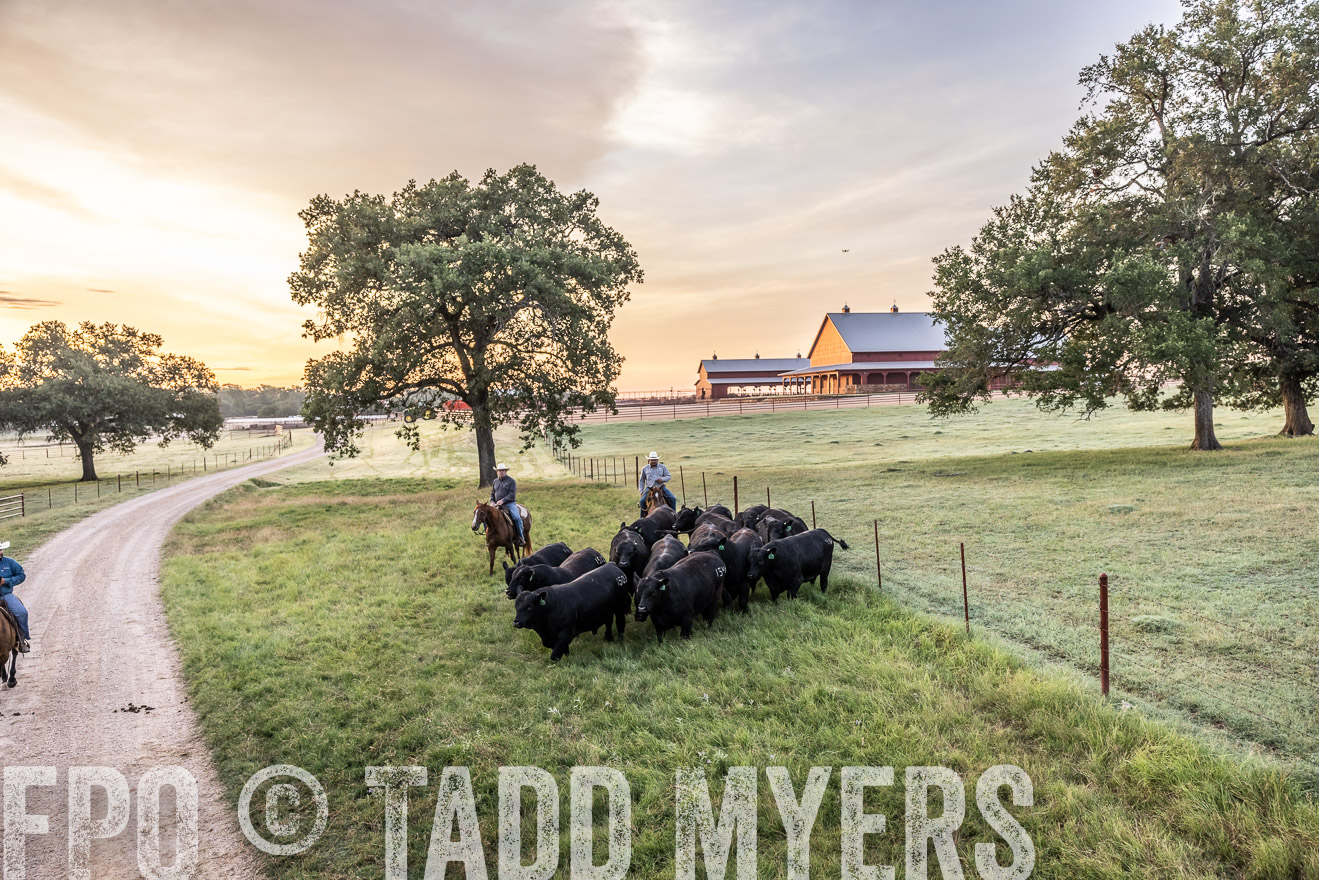 TMyers_Cameron_June2022-529051