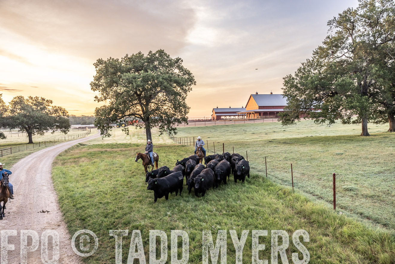 TMyers_Cameron_June2022-529053