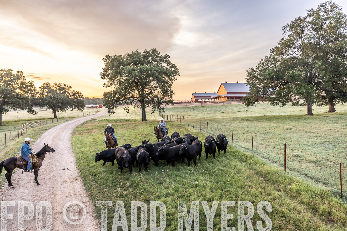 TMyers_Cameron_June2022-529065