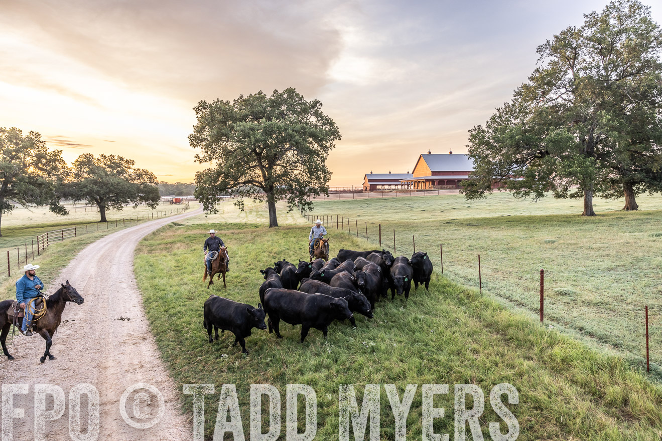 TMyers_Cameron_June2022-529070