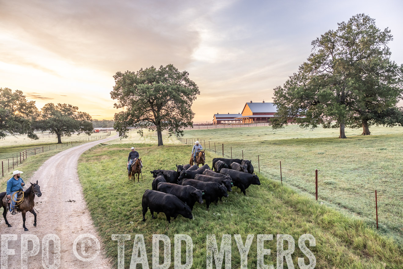 TMyers_Cameron_June2022-529072
