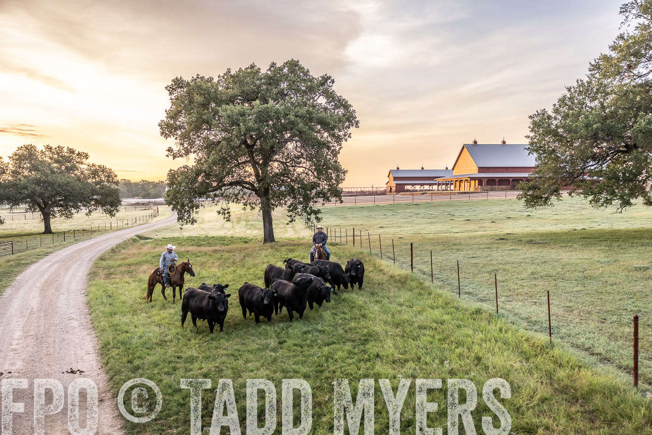 TMyers_Cameron_June2022-529118