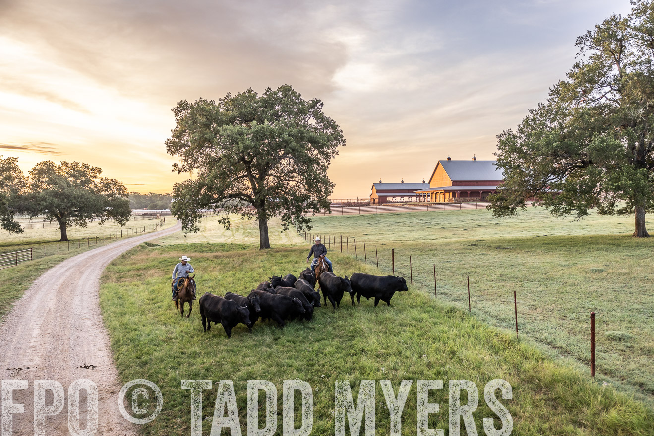 TMyers_Cameron_June2022-529128