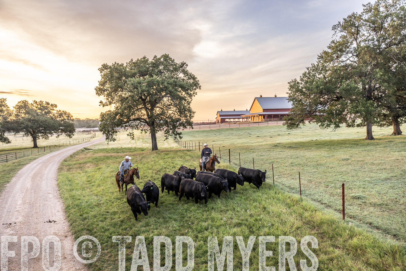 TMyers_Cameron_June2022-529137