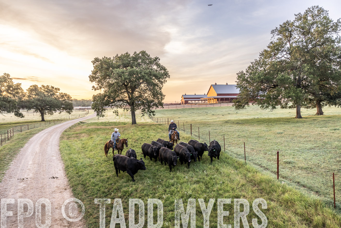 TMyers_Cameron_June2022-529141