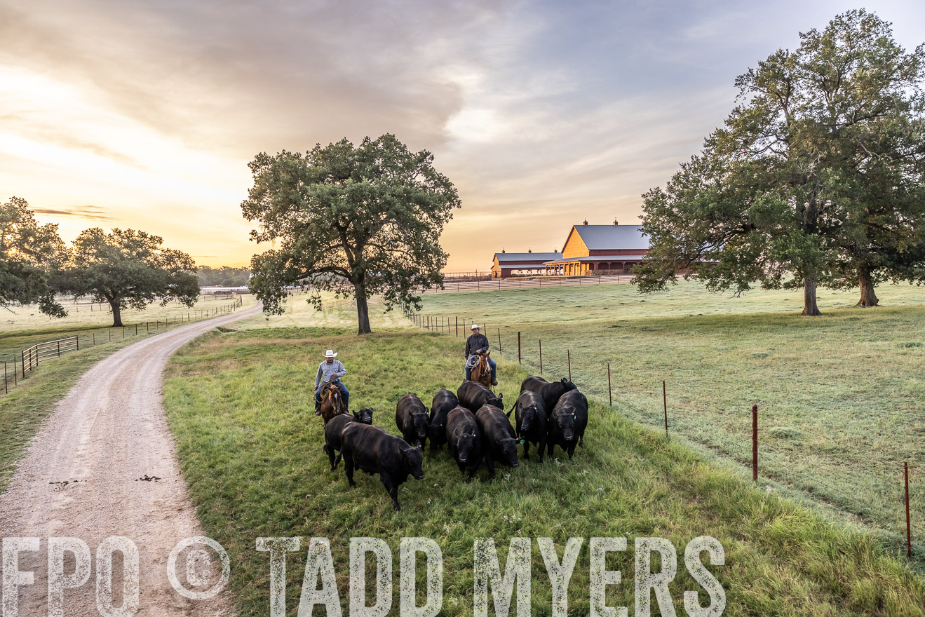 TMyers_Cameron_June2022-529147