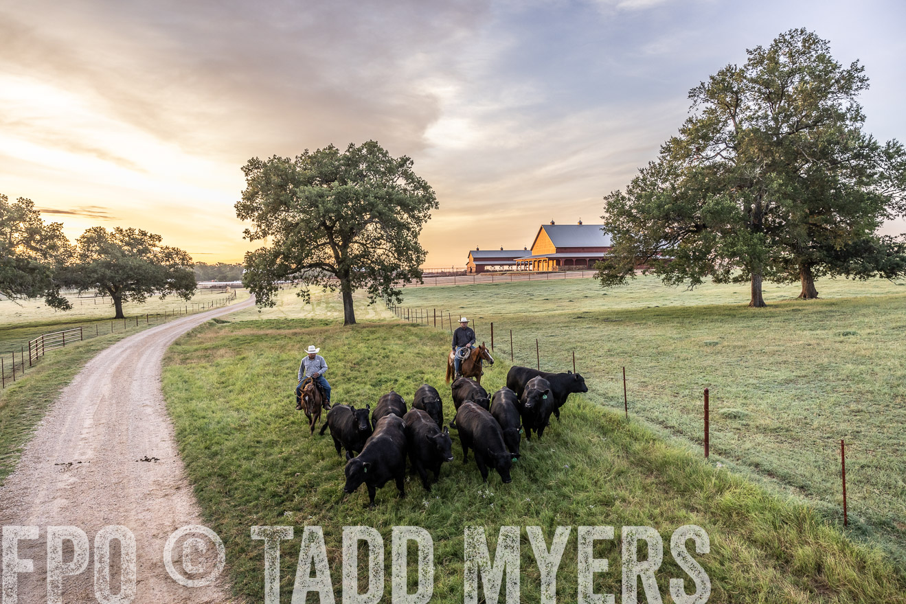 TMyers_Cameron_June2022-529151