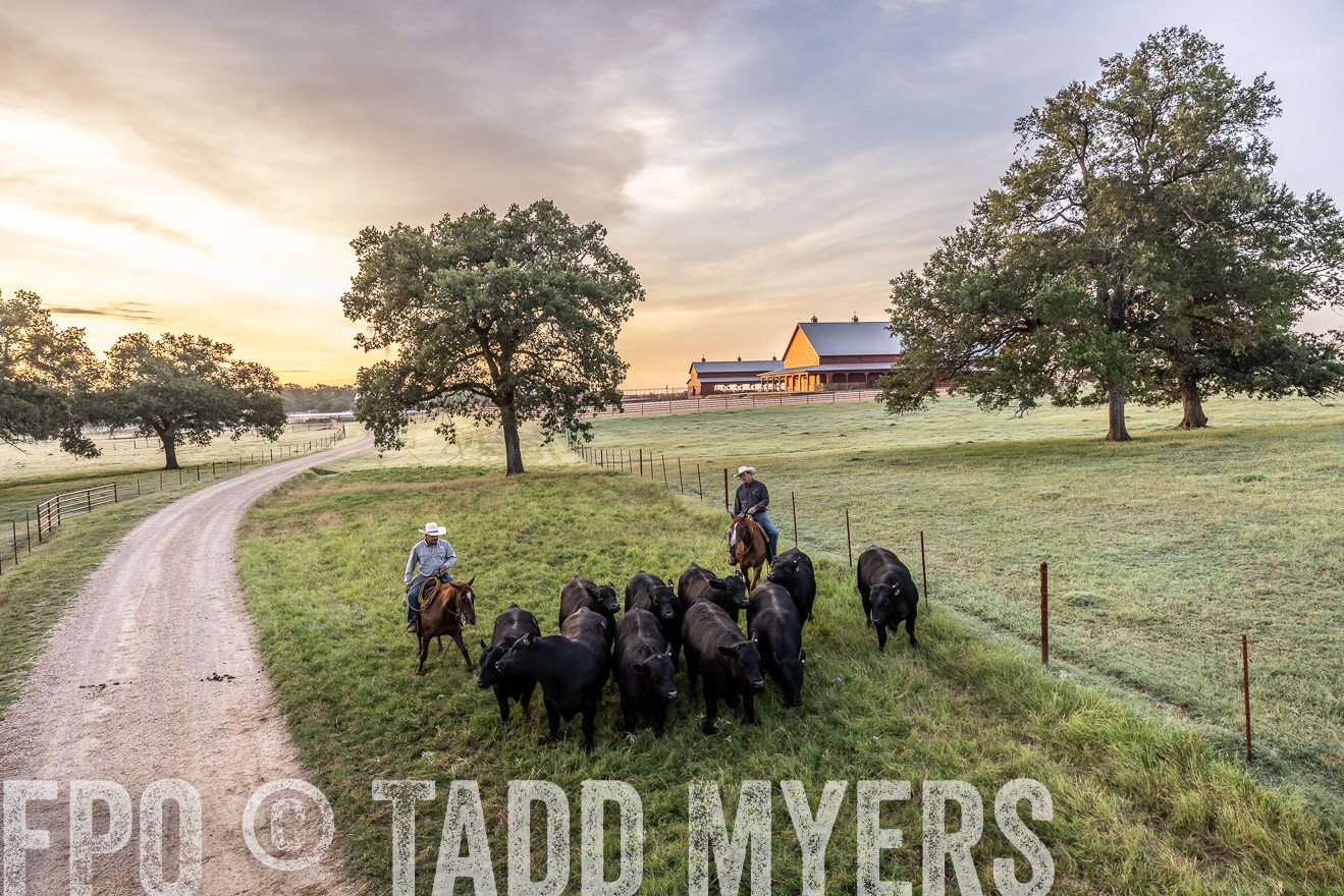 TMyers_Cameron_June2022-529160