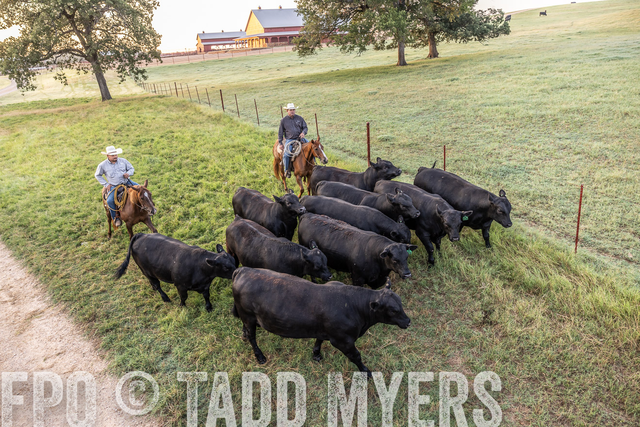 TMyers_Cameron_June2022-529176
