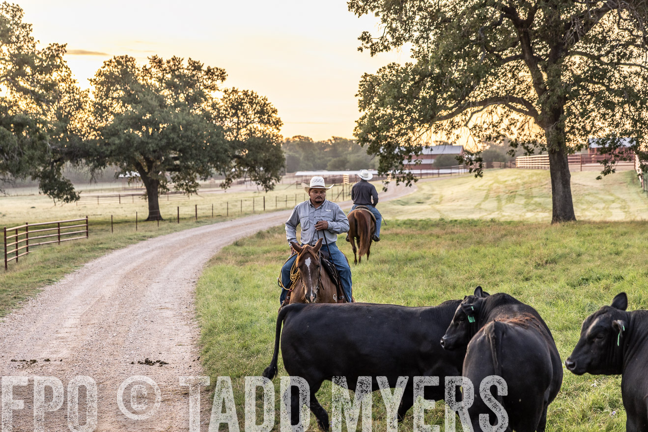 TMyers_Cameron_June2022-529198