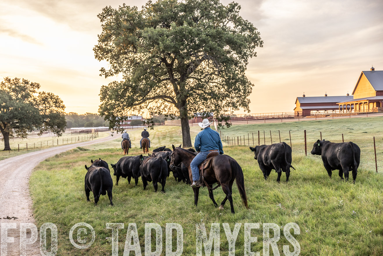 TMyers_Cameron_June2022-529224