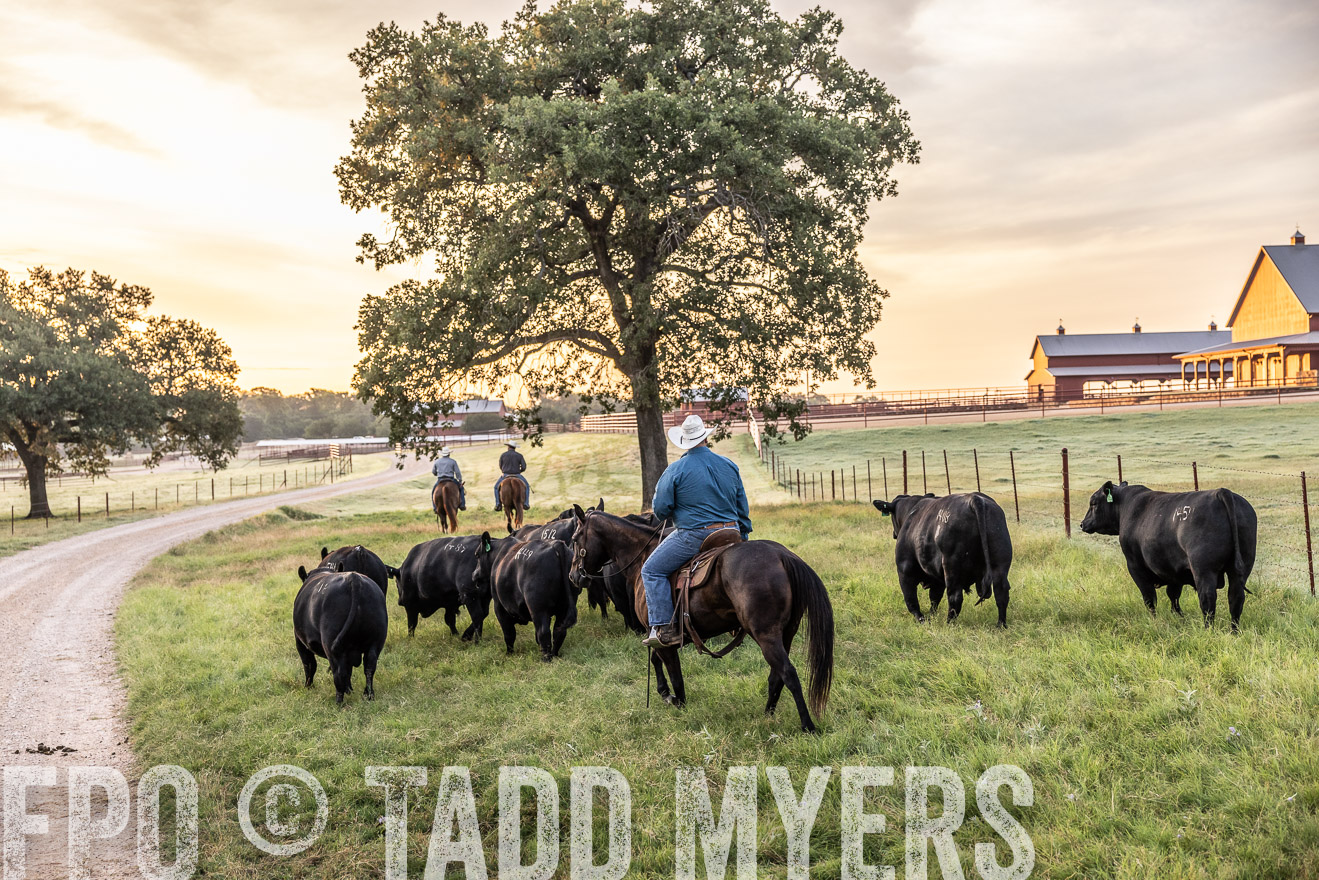 TMyers_Cameron_June2022-529225