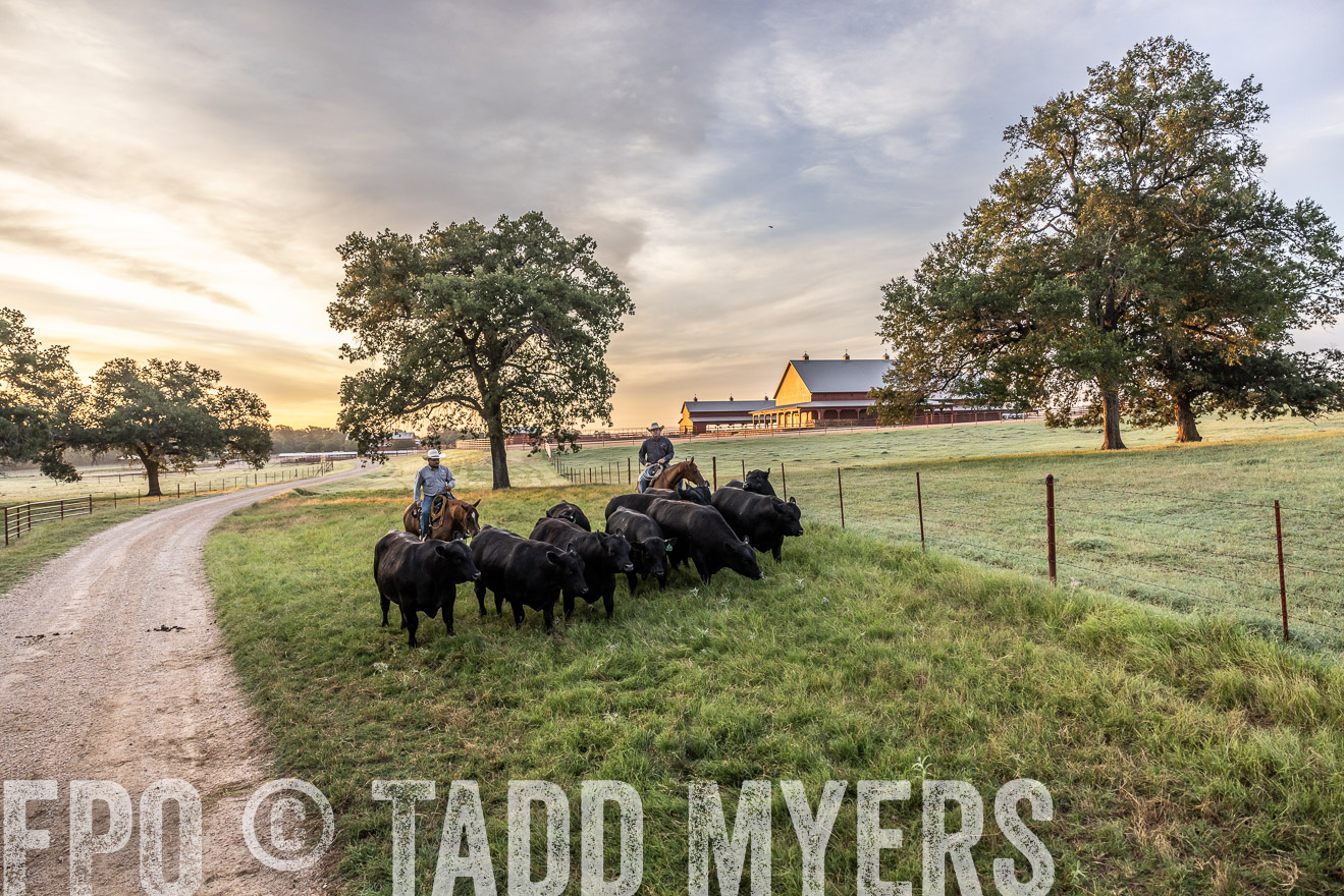 TMyers_Cameron_June2022-529238