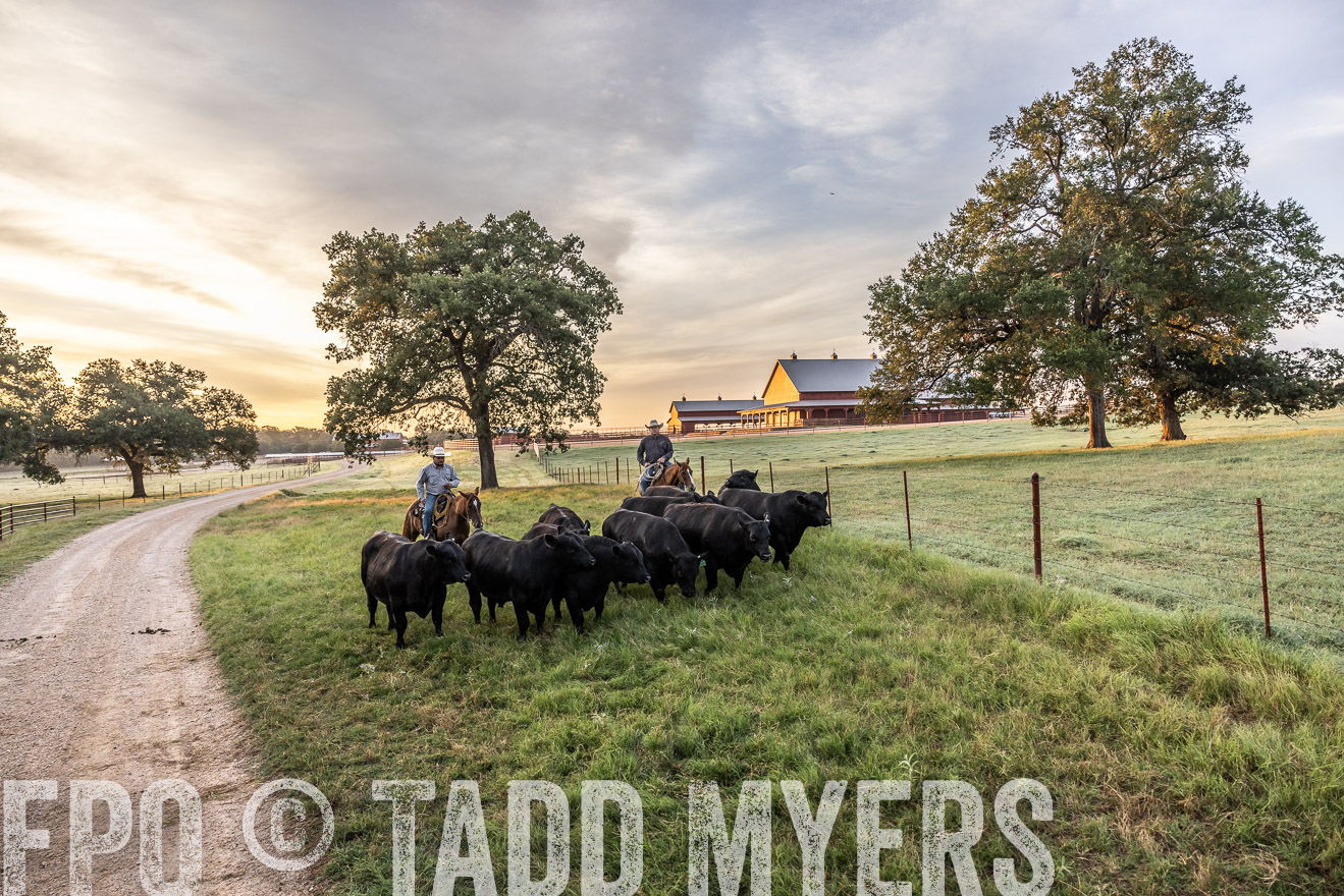 TMyers_Cameron_June2022-529242