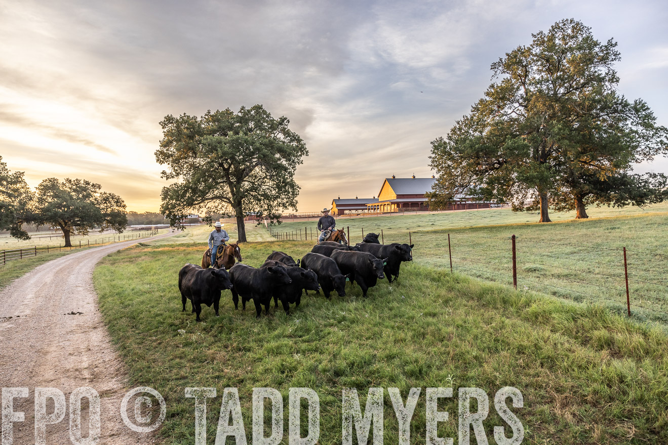 TMyers_Cameron_June2022-529243