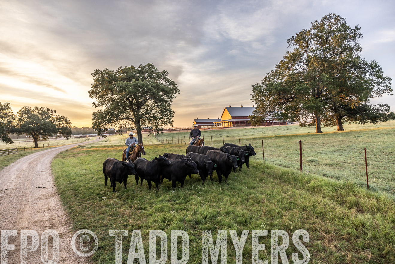 TMyers_Cameron_June2022-529248