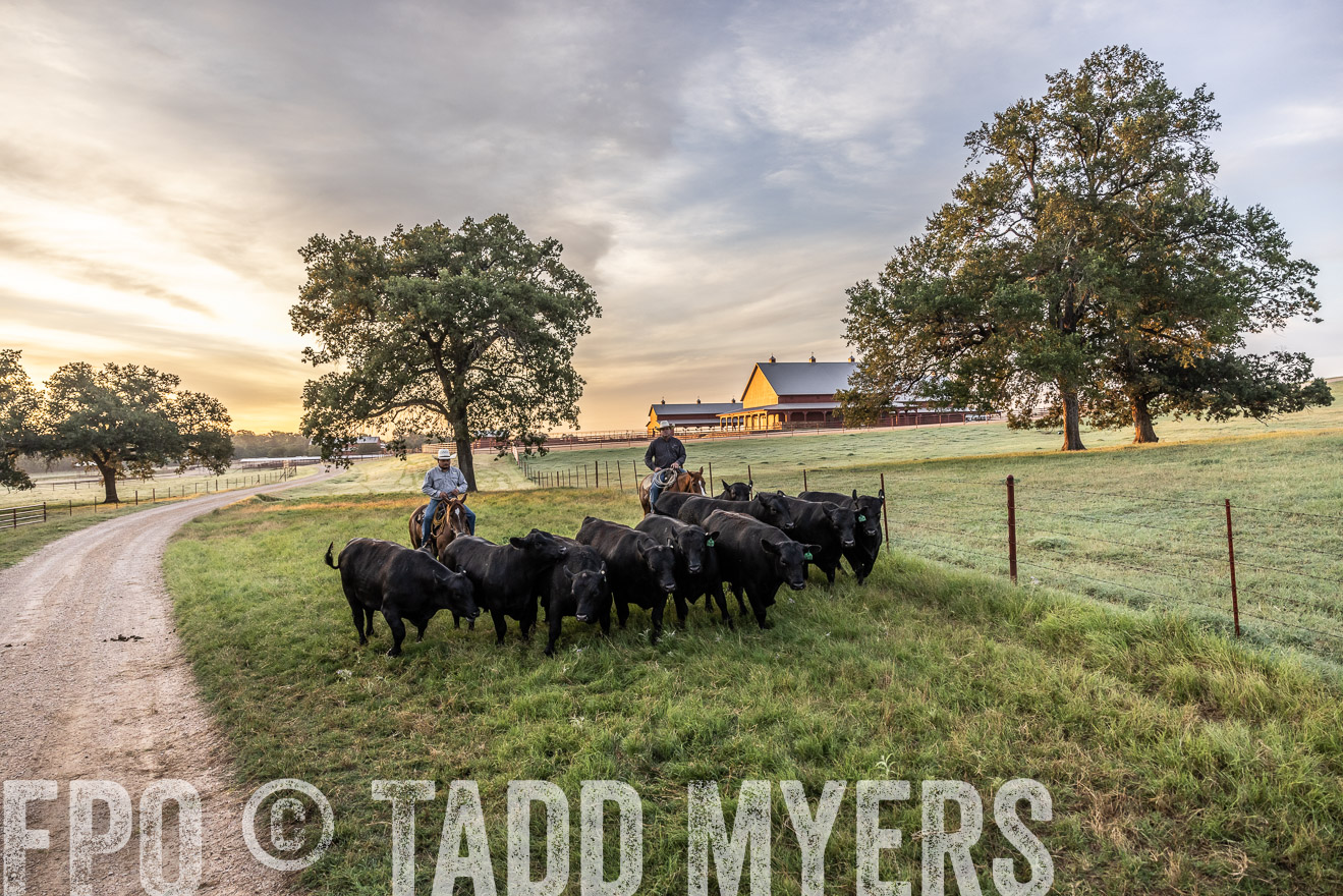 TMyers_Cameron_June2022-529251