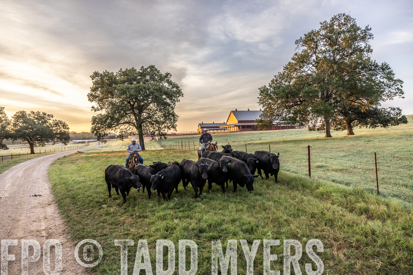 TMyers_Cameron_June2022-529253