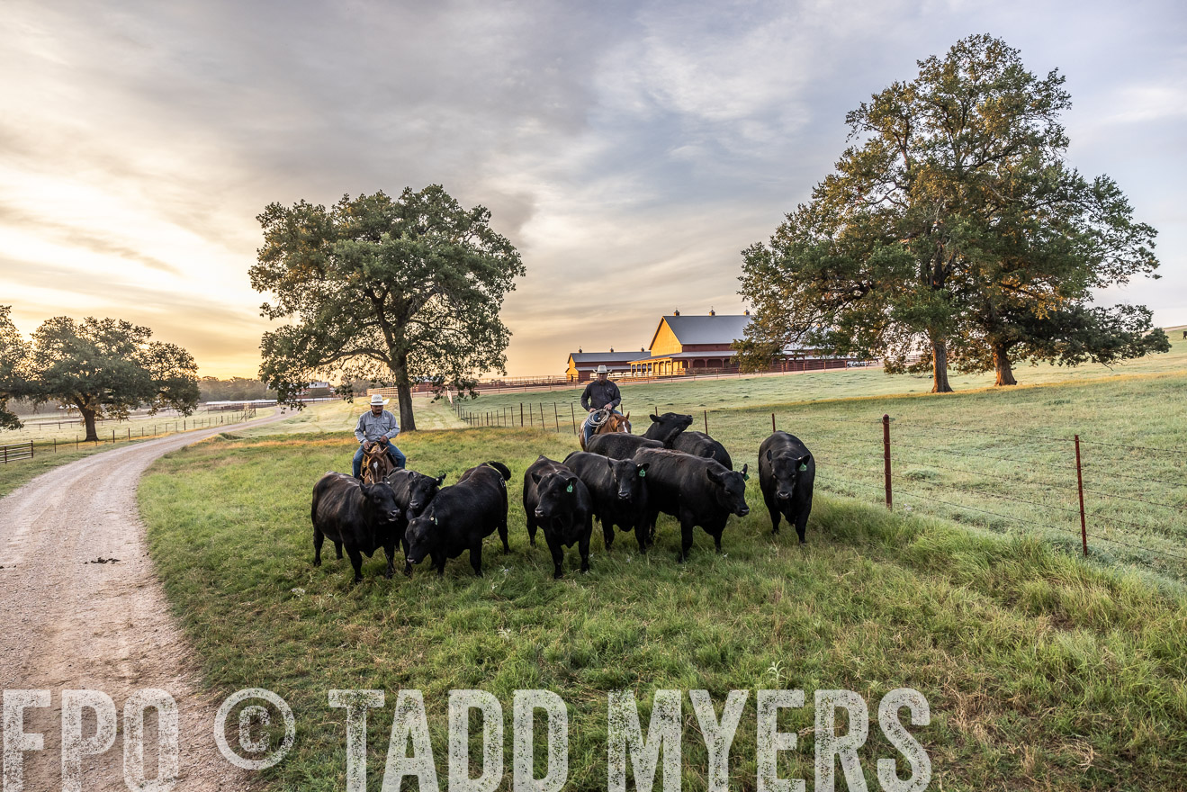 TMyers_Cameron_June2022-529257