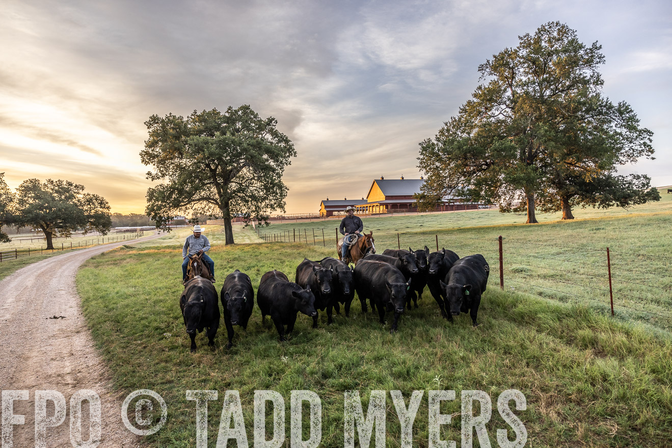 TMyers_Cameron_June2022-529263