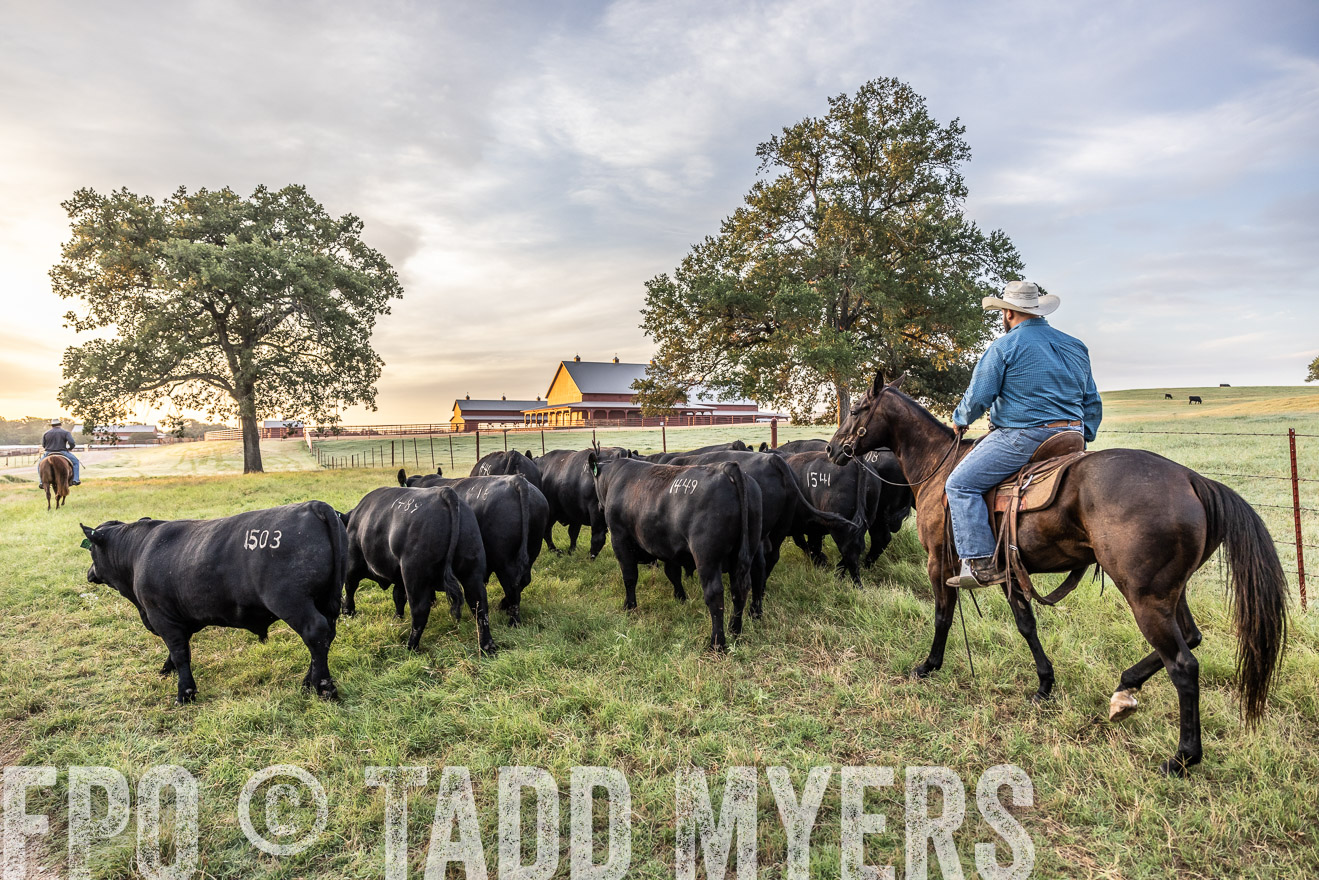 TMyers_Cameron_June2022-529328