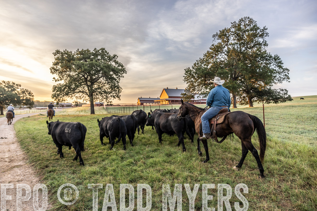 TMyers_Cameron_June2022-529332