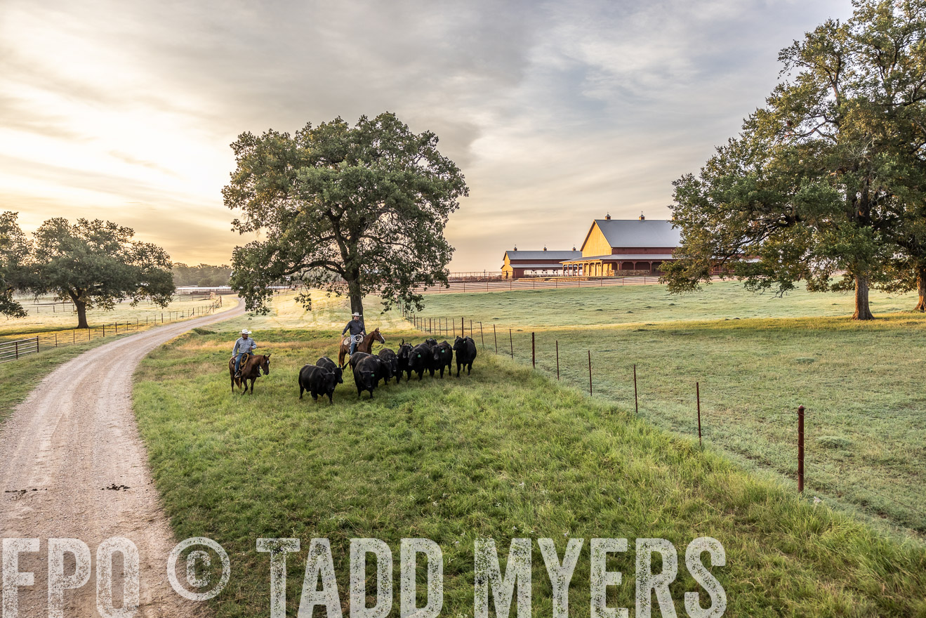 TMyers_Cameron_June2022-529349