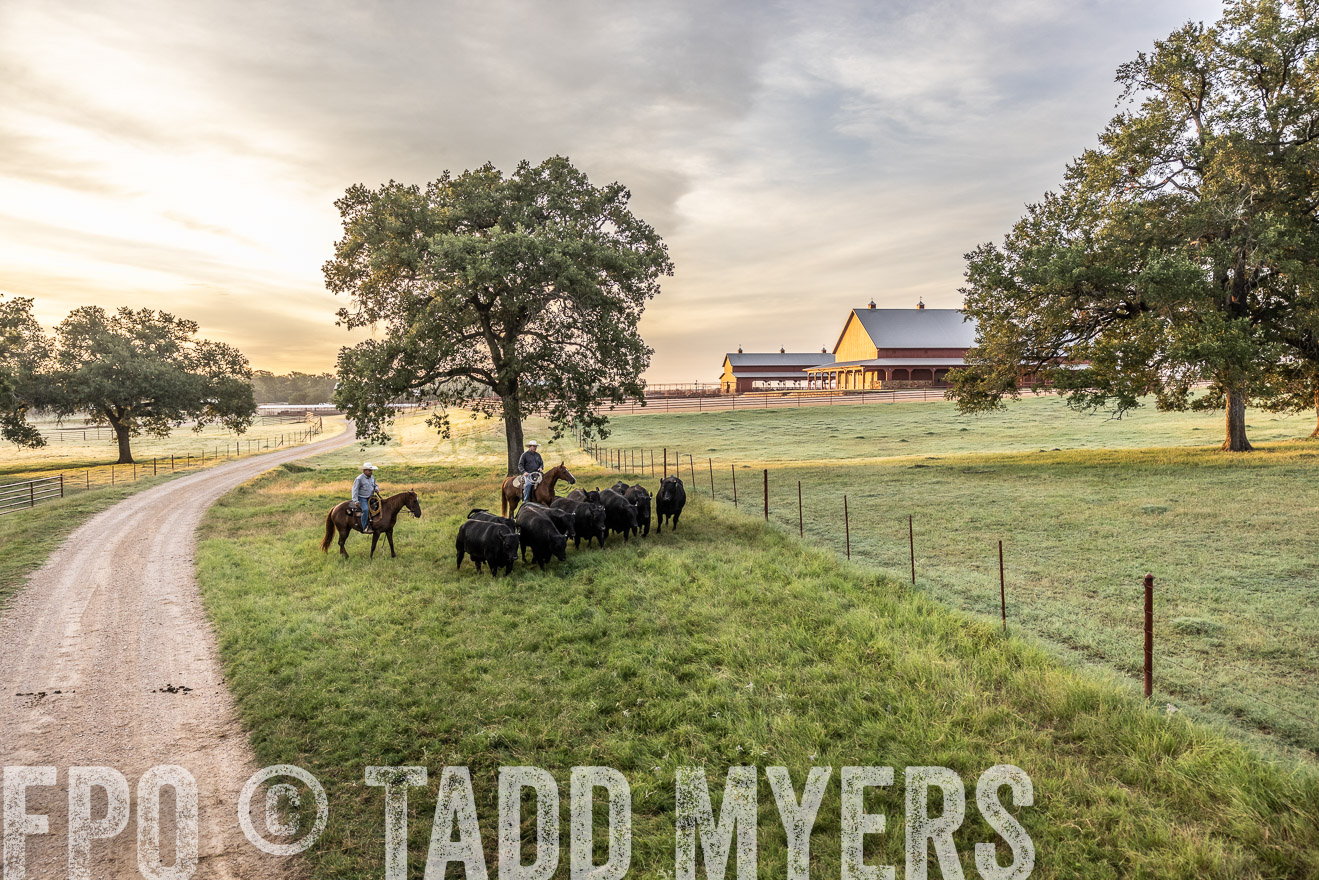 TMyers_Cameron_June2022-529351