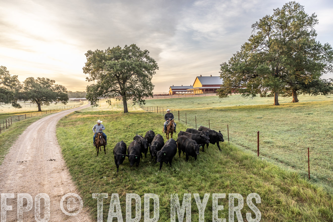 TMyers_Cameron_June2022-529403