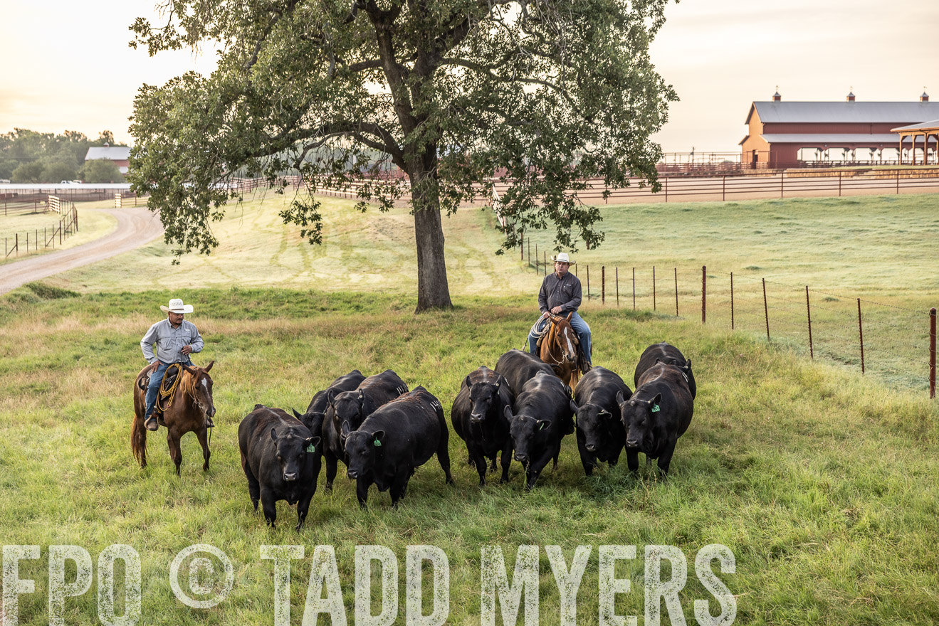 TMyers_Cameron_June2022-529444