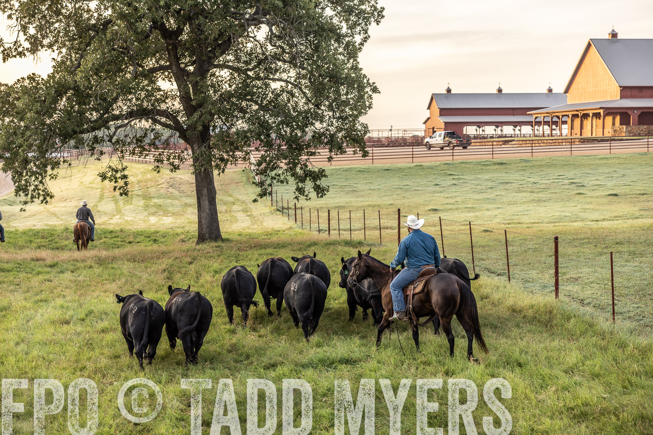 TMyers_Cameron_June2022-529471