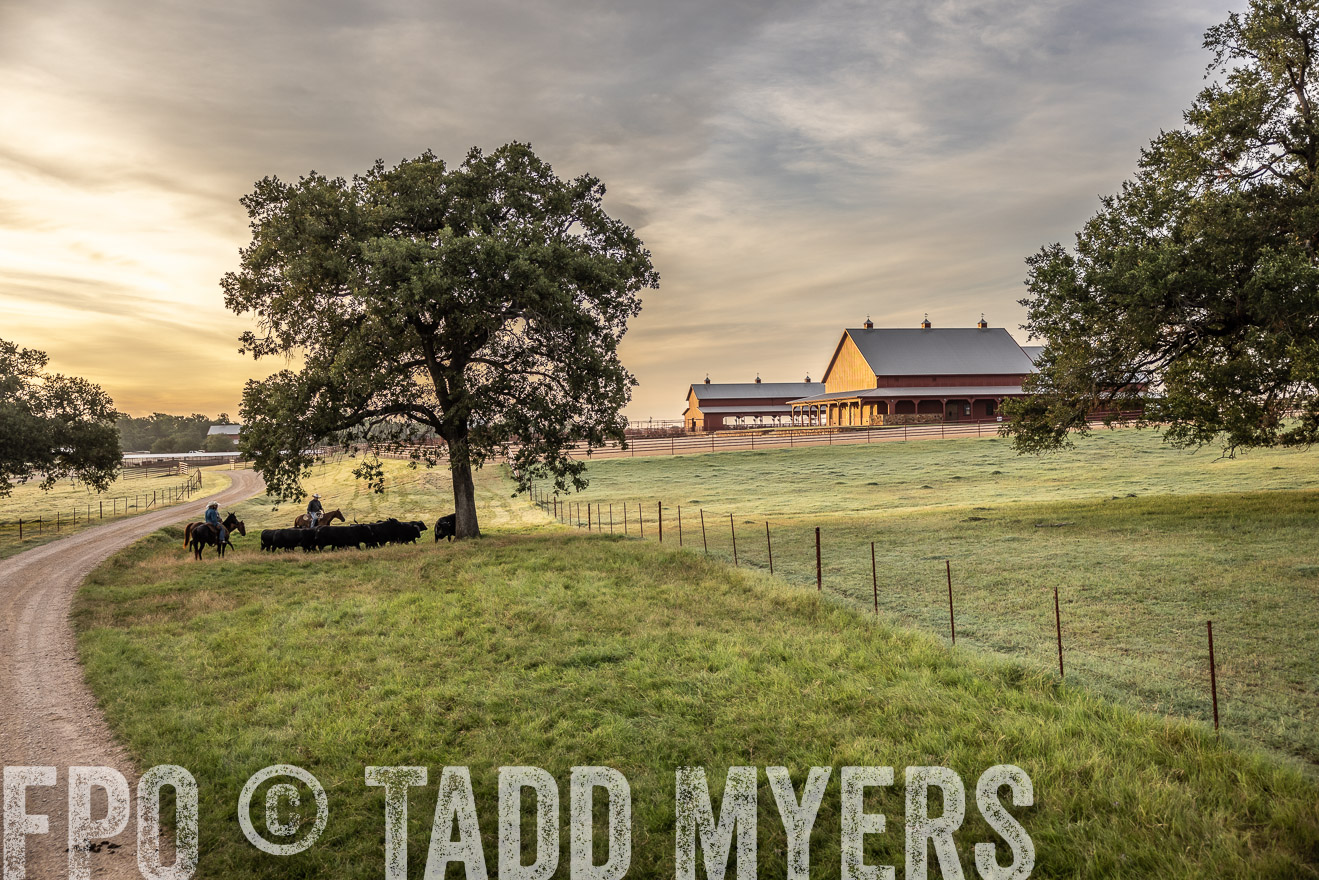 TMyers_Cameron_June2022-529480