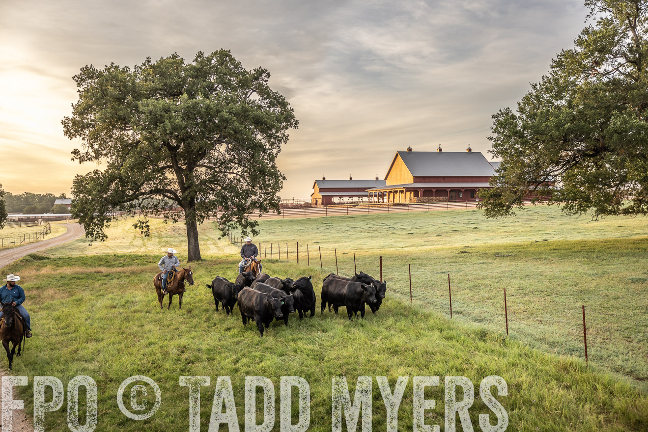 TMyers_Cameron_June2022-529494