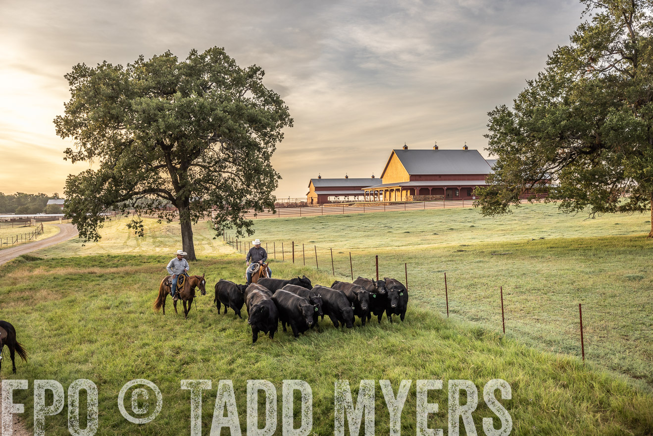 TMyers_Cameron_June2022-529500