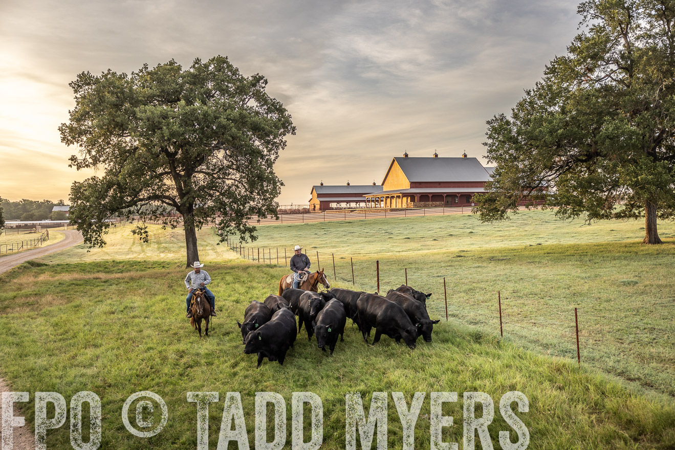 TMyers_Cameron_June2022-529509