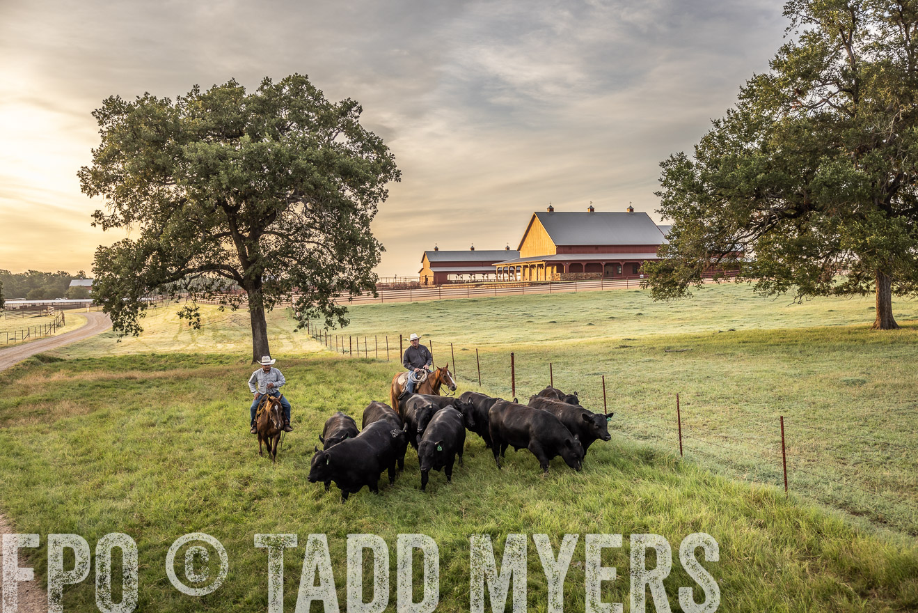 TMyers_Cameron_June2022-529511